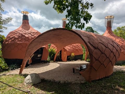 Cota house, Mangrove