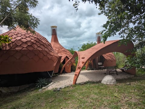 Cota house, Mangrove