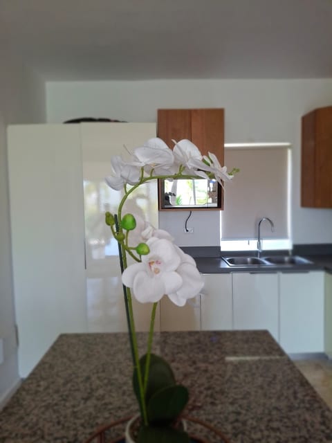 Encuentro Gem- 2 bed Pet friendly condo