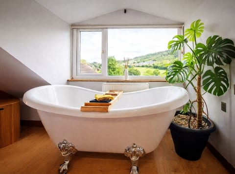 Hot Tub~Steam Spa~Roll Top Bath~Pets & Diggerland! image 3