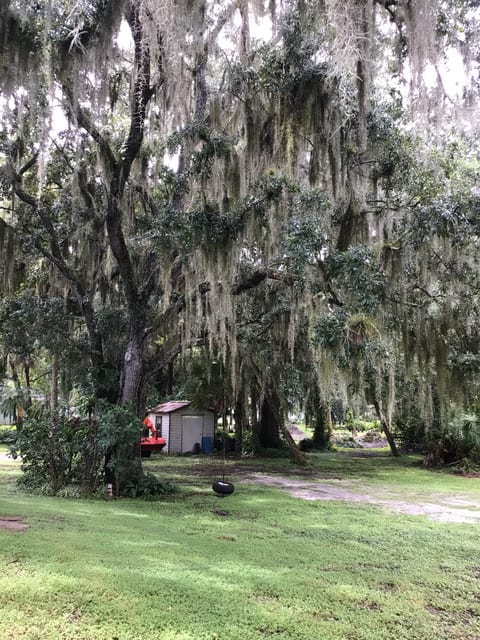 Treasure Oaks