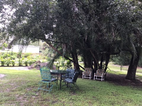 Treasure Oaks