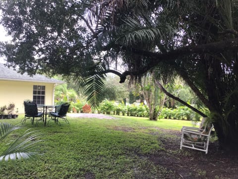 Treasure Oaks