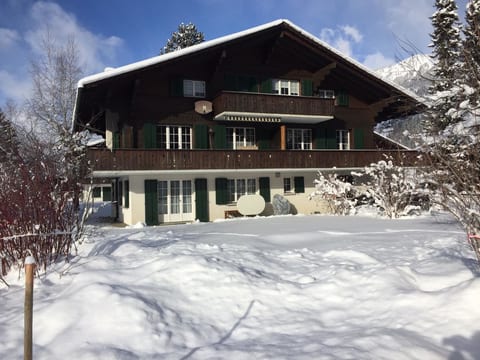 Elena # 2 Appartement/Fewo, Dusche oder Bad, WC, 1 Schlafraum 2-Bett-Wohnung