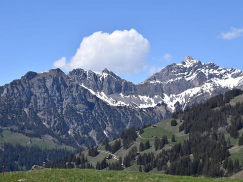 Alphütte Weissenberg Hütte, WC, 2 Schlafräume 5-Bettwohnung