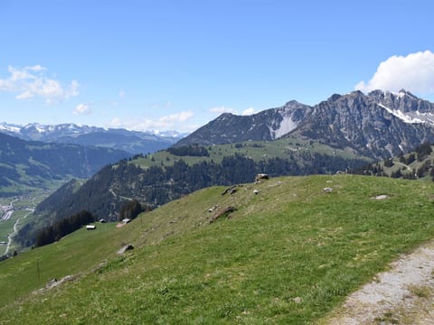 Alphütte Weissenberg Hütte, WC, 2 Schlafräume 5-Bettwohnung
