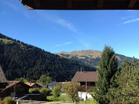 Favre OG Ost Appartement/Fewo, Dusche oder Bad, WC, 1 Schlafraum 2-Bett-Wohnung
