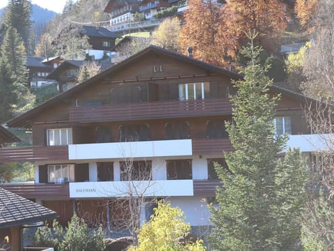 Gruebi - Haus Baldrian Appartement/Fewo, Bad, WC, 2 Schlafräume 3-Zimmerwohnung