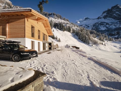 Chalet Bärgfride Appartement/Fewo, Dusche, WC, 1 Schlafraum 3-Zimmerwohnung