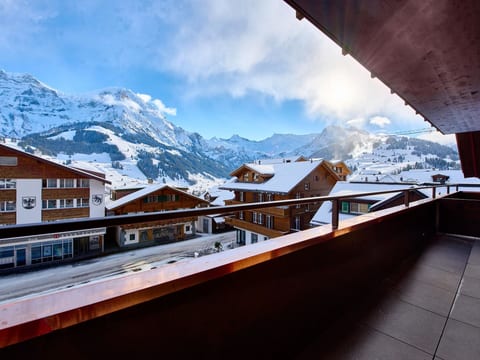 Apart Hotel Adelboden am Dorfplatz Appartement/Fewo, Dusche, WC
