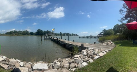 Black Walnut Cove