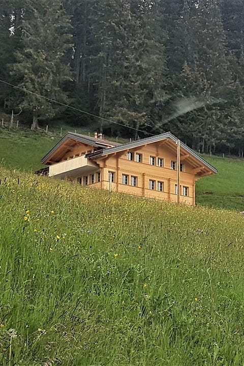 Sonnen-Panorama Appartement/Fewo, Dusche, WC 1-Zimmerwohnung