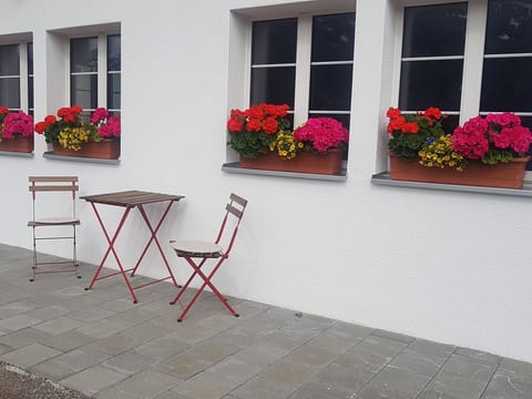 Sonnen-Panorama Appartement/Fewo, Dusche, WC 1-Zimmerwohnung