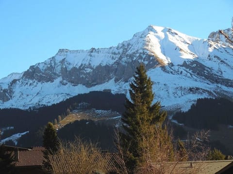 Sunneweg Appartement/Fewo, Dusche, WC, 1 Schlafraum 2-Zimmerwohnung