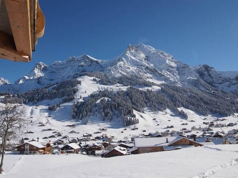 Chalet Zwirbeli Appartement/Fewo, Dusche, WC, 1 Schlafraum 2-Zimmerwohnung