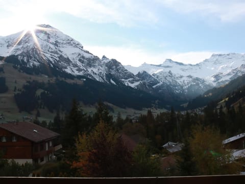 Rapunzel AP D22 Appartement/Fewo, Bad, WC, 2 Schlafräume 3-Zimmerwohnung