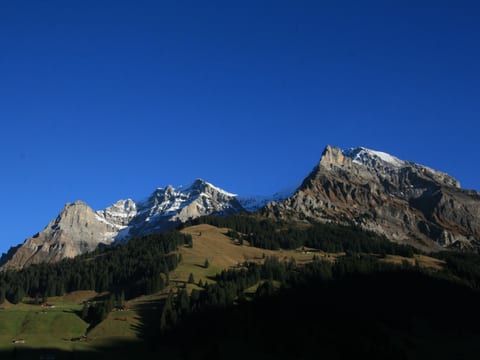 Chalet Lohner Appartement/Fewo, Bad, WC, 2 Schlafräume 3-Zimmerwohnung