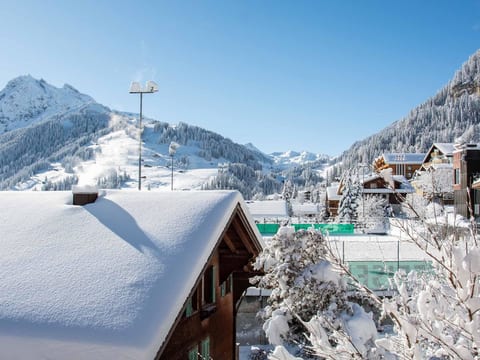 Loft Erlebnis Adelboden Appartement/Fewo, Dusche, WC, 2 Schlafräume