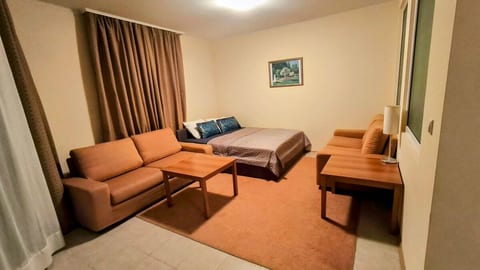 Apartment with sea view D420 image 4