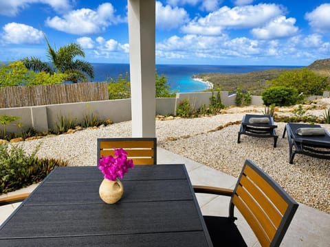 Your private terrace oasis with dining, lounging, and panoramic views