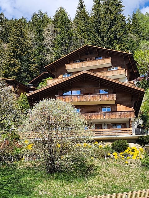 Juwel Appartement/Fewo, Dusche, WC, 2 Schlafräume 3-Zimmerwohnung