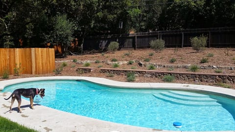 Warm Springs Haven image 2