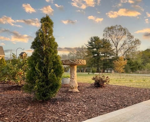 Garden view