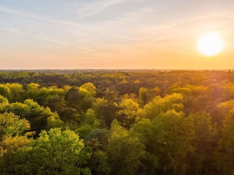 Vakantiepark De Wiltzangh - Esborg Lodge | 6p