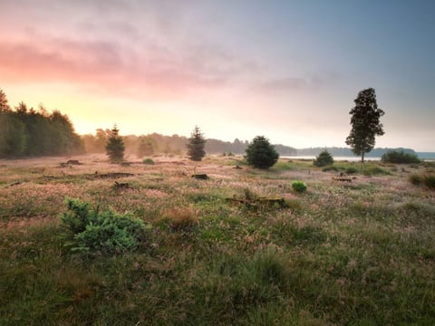 Vakantiepark De Wiltzangh - Esborg Lodge | 6p