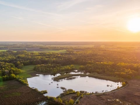 Vakantiepark De Wiltzangh - Esborg Lodge | 6p