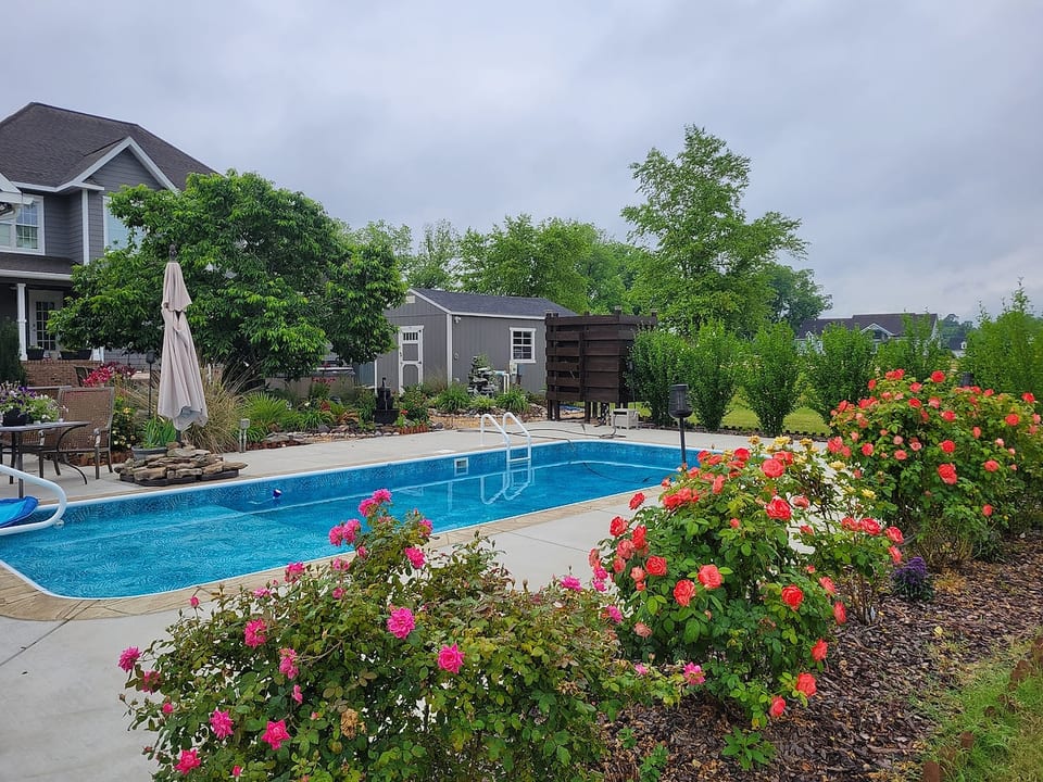 Beautiful estate oasis image 1