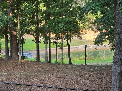 Peaceful wooded waterfront view with serene lakeside charm