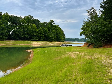 Serene waterfront escape with private shoreline and nature reserve views
