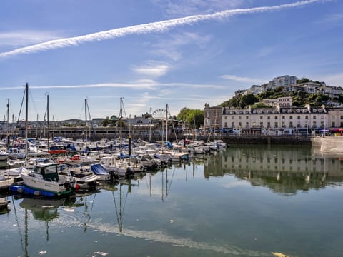 Harbour View