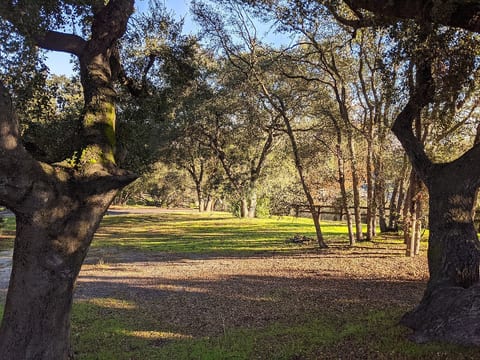 Le Petite Retreat- Wine Country Getaway