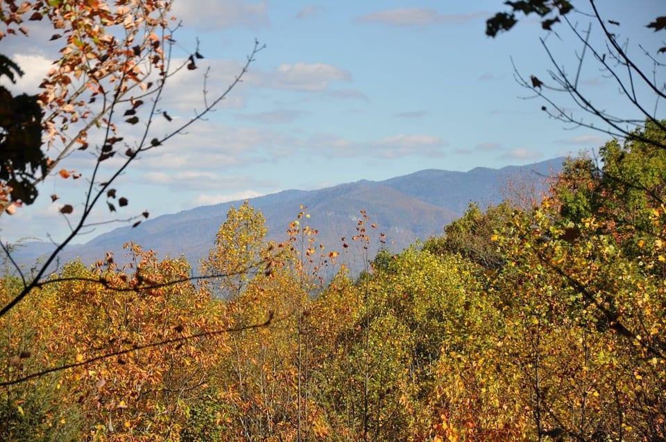 The Mountains