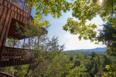 You have never stayed anywhere like this.  Built on a cliff overlooking the French Broad River, you can see miles of mountains for more than 180 degrees from inside the cabin and from 3 decks on different levels.