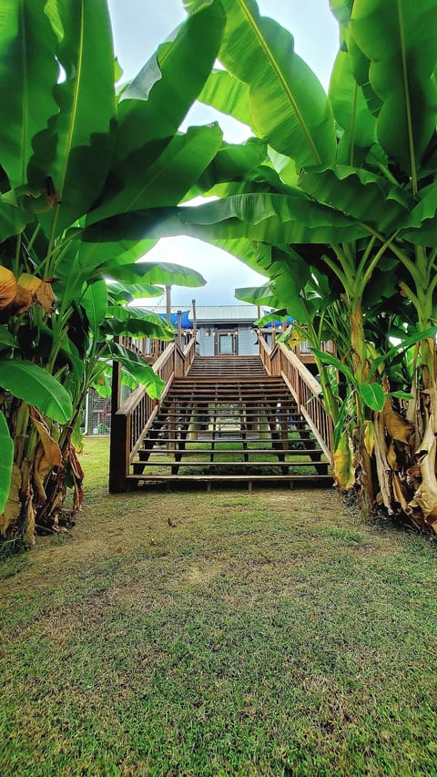Back Deck Stairs