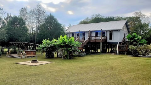 Backyard View of Jungalow