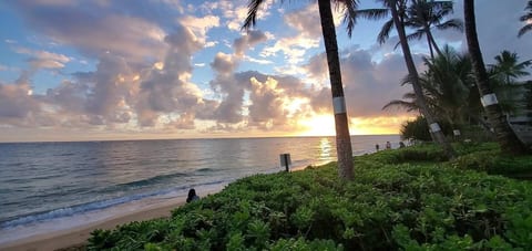 Morning Sunrise View