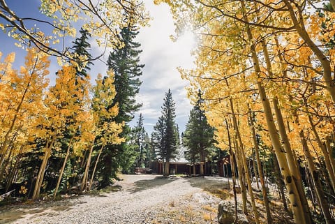 Enjoy the turning of the Aspen leaves that line the driveway of the Lodge in Autumn - one of the most beautiful times of year up in the high country