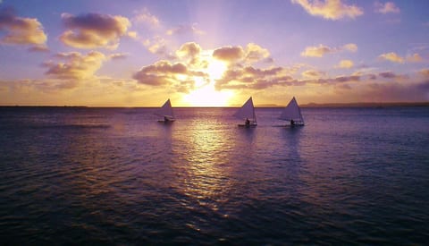 Renovated Oceanfront Condo, Sand Dollar, Bonaire