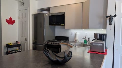 OUT OF BOUNDS - 2Bed/1bath condo near Banff Park Gate