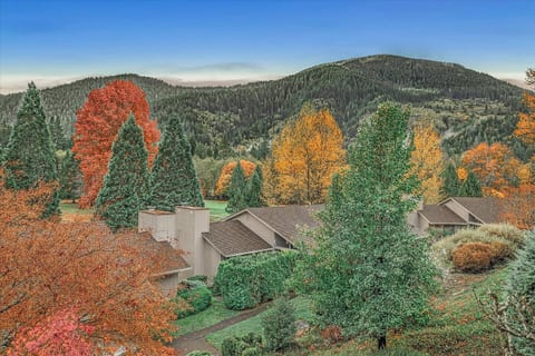 Golf Course Condo - Wood Burning Fire, Views!