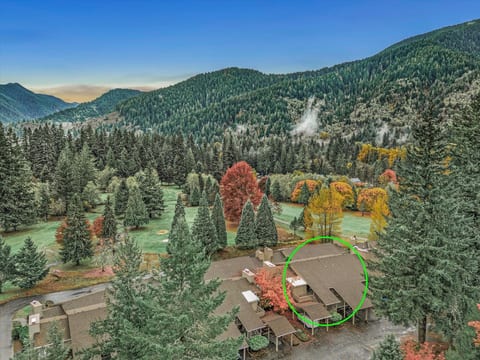 Golf Course Condo - Wood Burning Fire, Views!