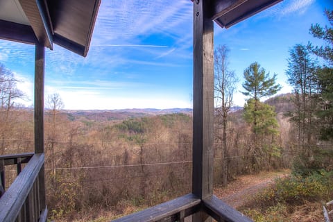 The View 2