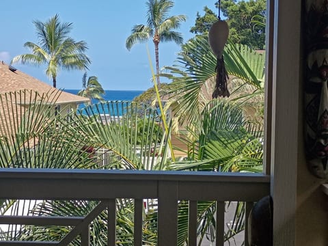 Find paradise at Alii Cove! Kailua Kona's popular destination on the Big Island