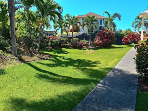 Find paradise at Alii Cove! Kailua Kona's popular destination on the Big Island
