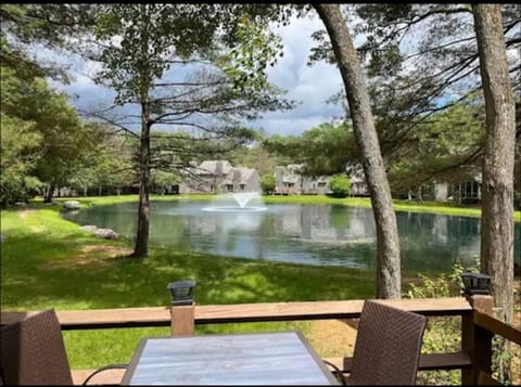 Relax while overlooking the beautiful pond.