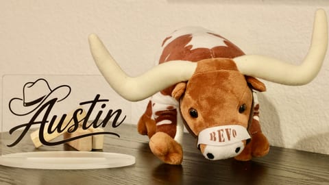 Playful Austin decor with iconic longhorn charm and local character